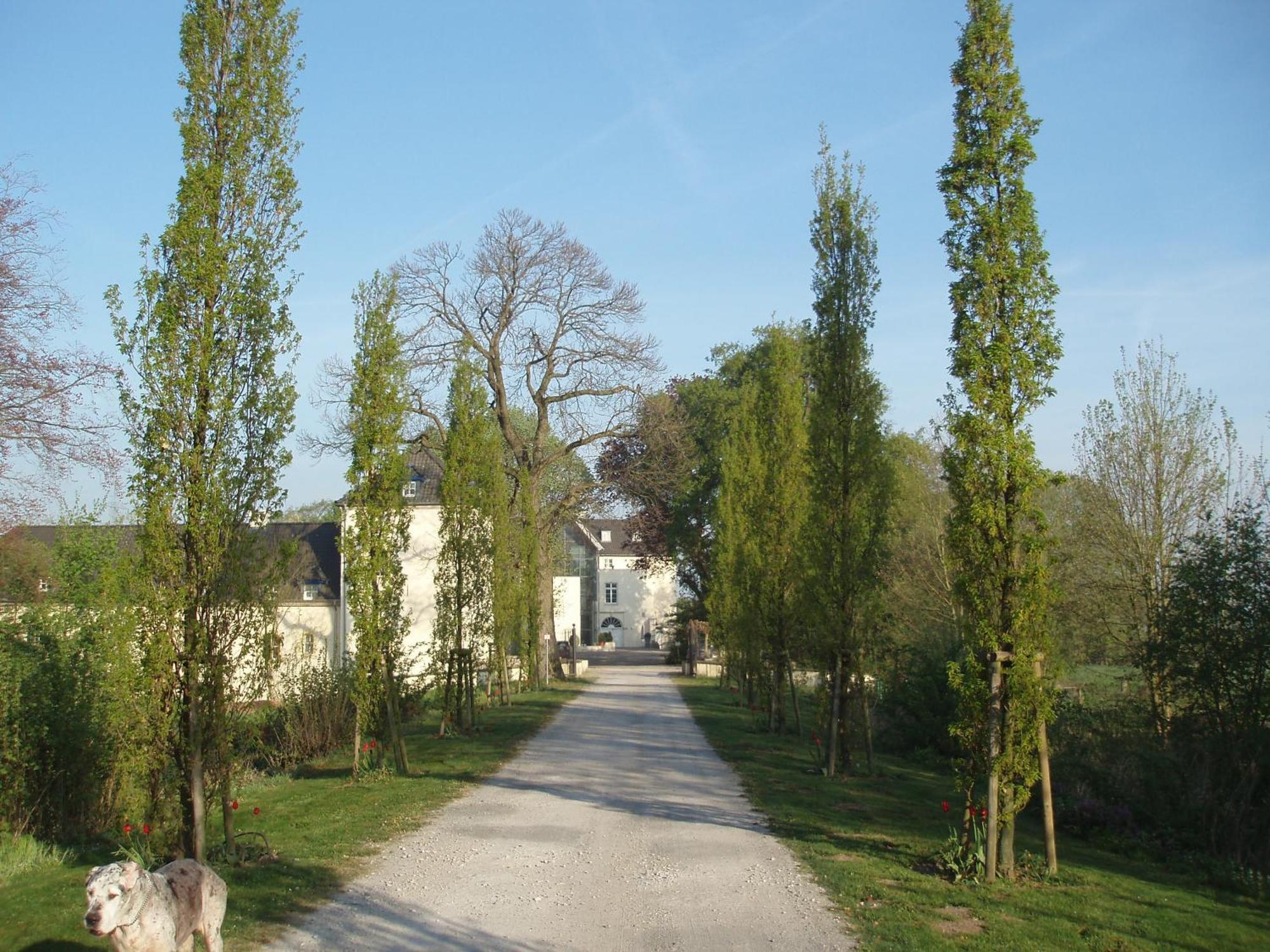 Hotel Burg Boetzelaer à Kalkar Extérieur photo